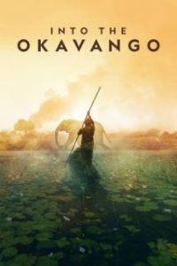 Into the Okavango [Subtitulado]